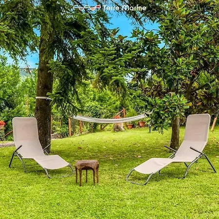 Maison Ro, Terremarine