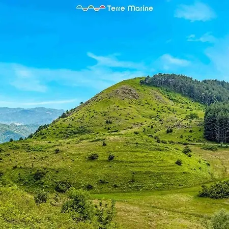 빌라 Maison Ro, Terremarine *